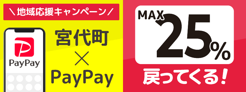 埼玉県宮代町でPayPayキャンペーン終了【あなたのまちを応援プロジェクト】