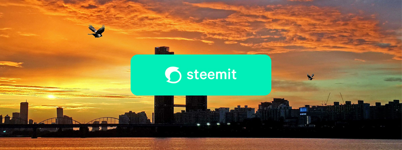 ソーシャルメディアSteemitが完全復旧｜スチーム/Steem(Steem)の報酬システムにバグ