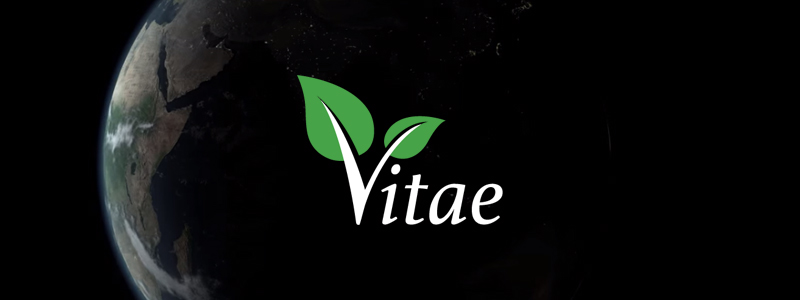 ヴィテエ/Vitae(VITAE)の特徴をまとめて解説